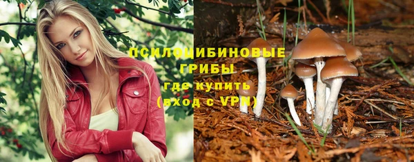 МДПВ Белокуриха