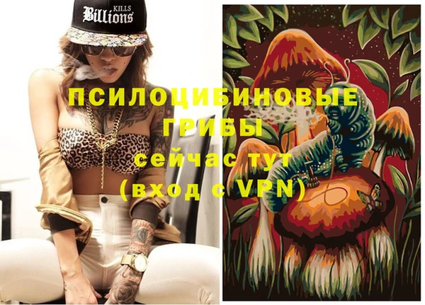 МДПВ Белокуриха